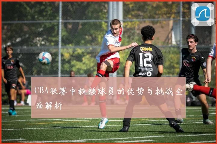 CBA联赛中较矮球员的优势与挑战全面解析