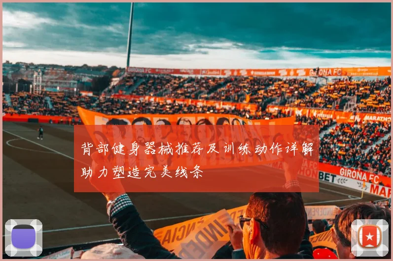 背部健身器械推荐及训练动作详解助力塑造完美线条