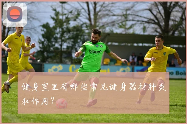 健身室里有哪些常见健身器材种类和作用？