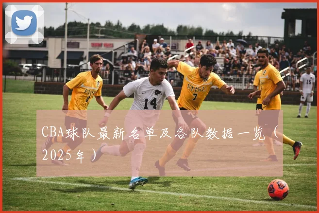 CBA球队最新名单及各队数据一览（2025年）