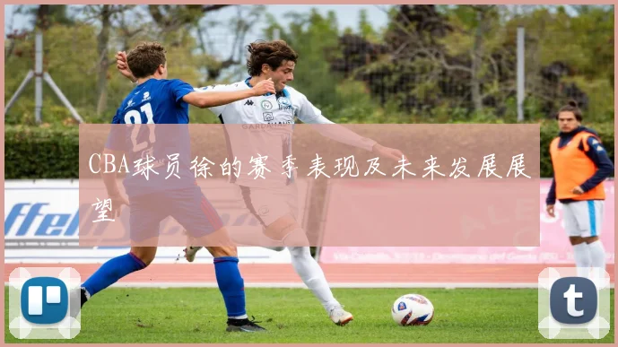 CBA球员徐的赛季表现及未来发展展望